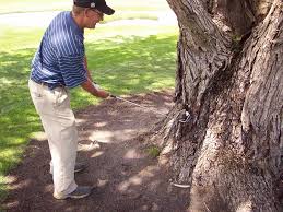 Golferhiitingtree.jpg